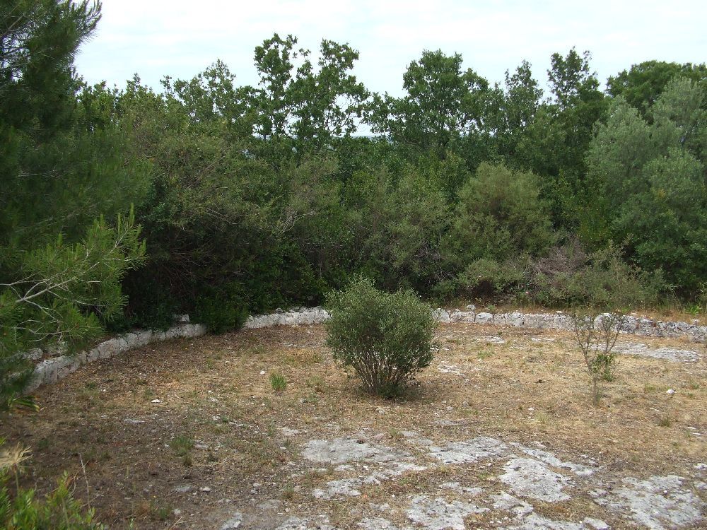 Aia - vacanze - trulli - Puglia - ostuni - pascarosa - mare - locazione - rurale