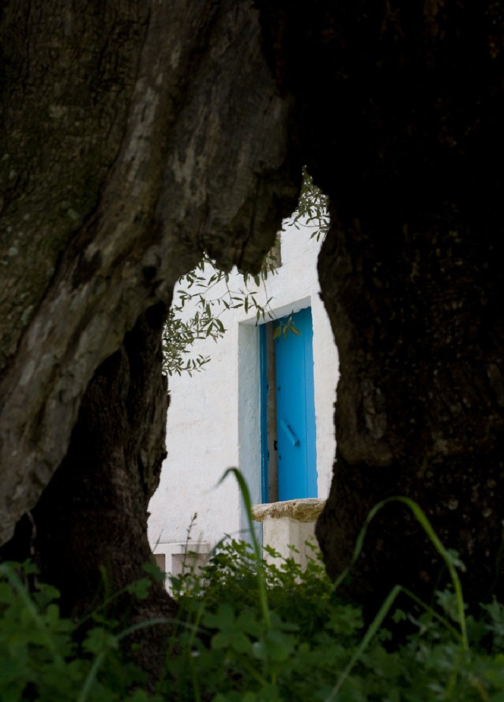 Ostuni - Lamia - Casa rurale