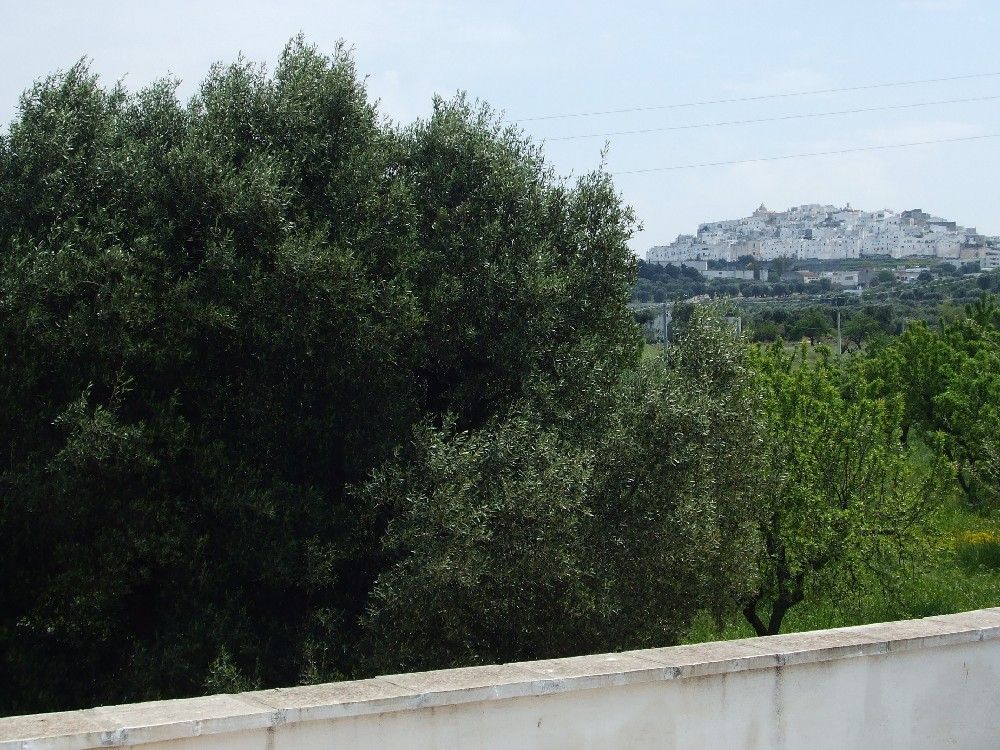 Ostuni - Lamia - Casa rurale