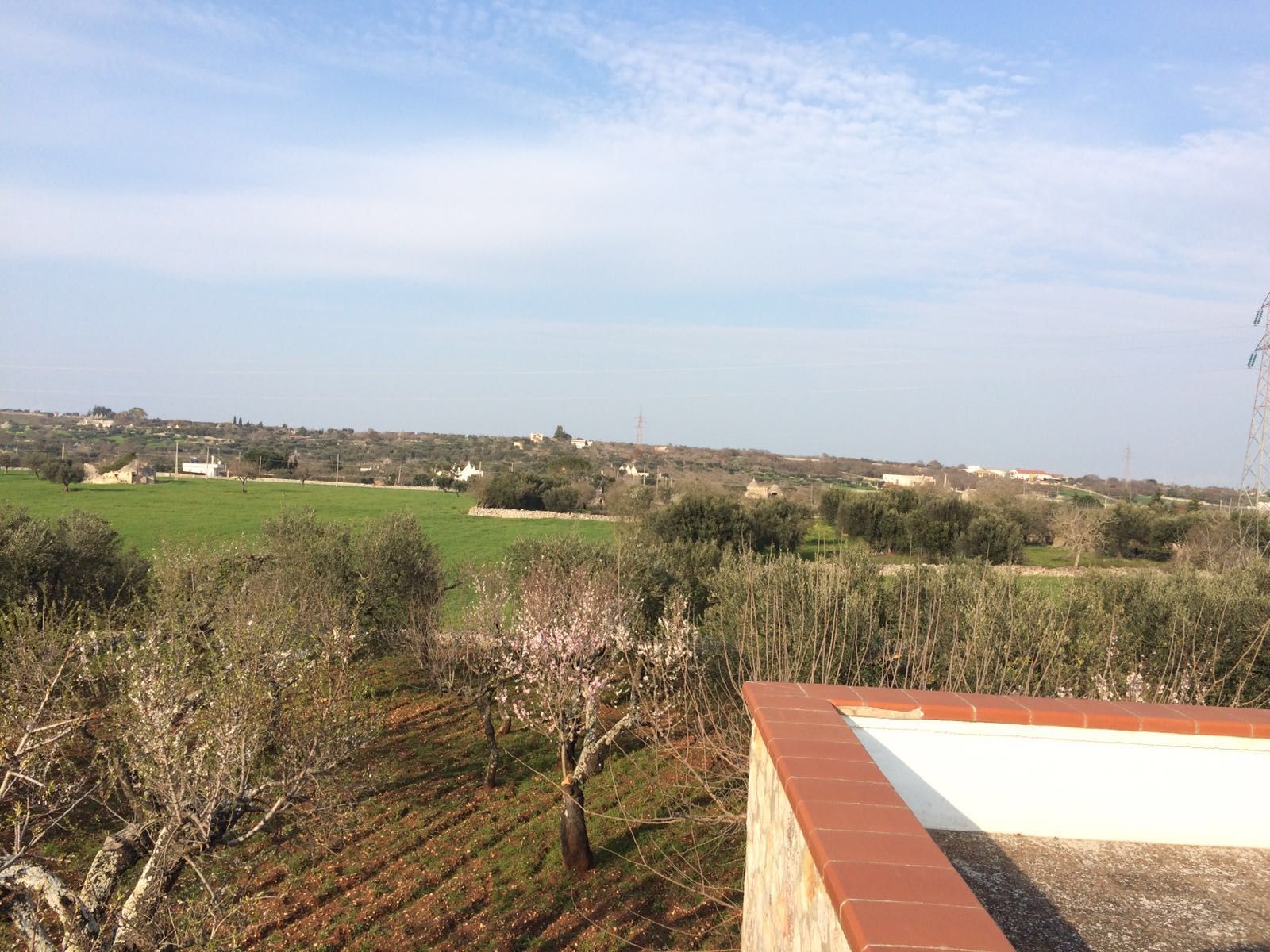 Putignano vendesi trulli - terreno proprietà